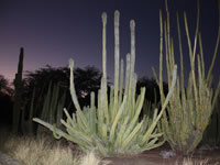 Southwest US Photo