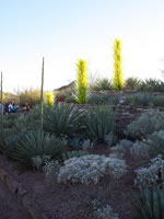 Southwest US Photo