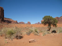 Southwest US Photo