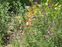 Southwest US Photo
